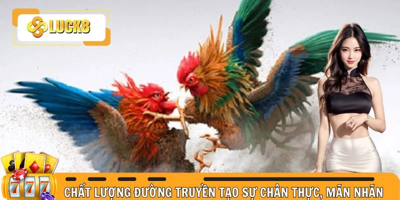 Chất lượng đường truyền tạo sự chân thực, mãn nhãn